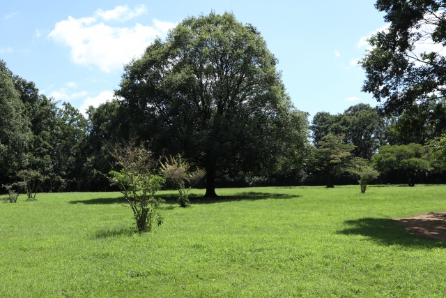 東高根森林公園の画像