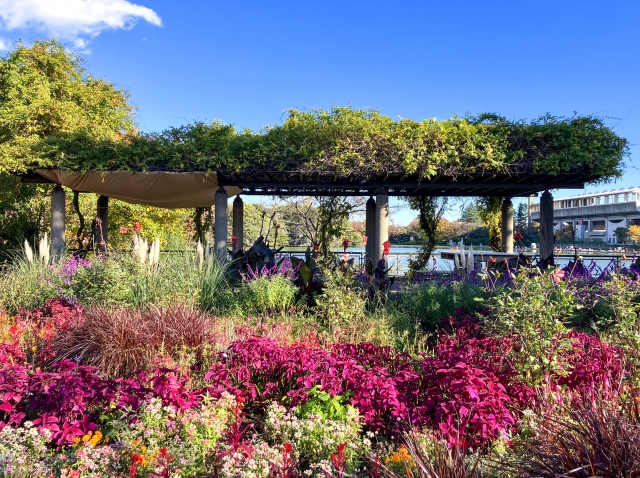 等々力緑地の画像