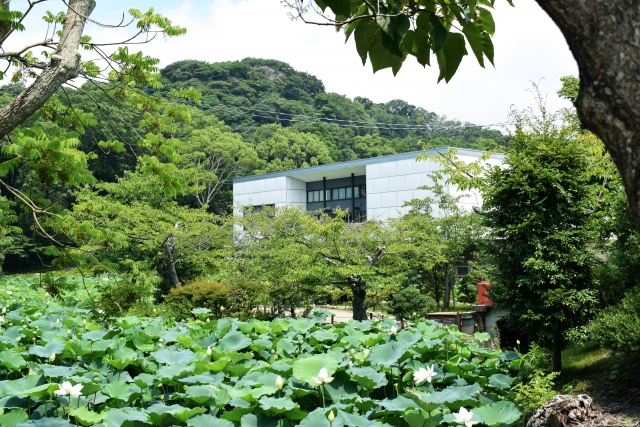 鎌倉文華館 鶴岡ミュージアムの画像