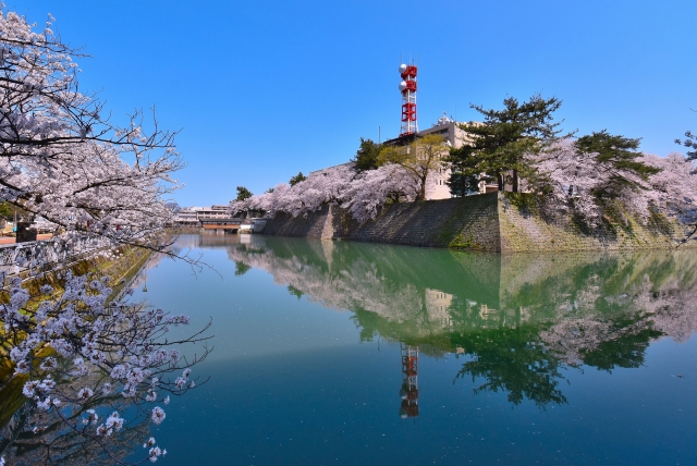 福井城址の画像