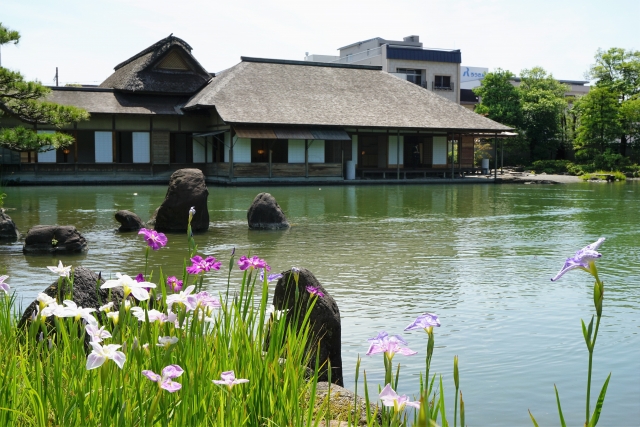 養浩館庭園の画像