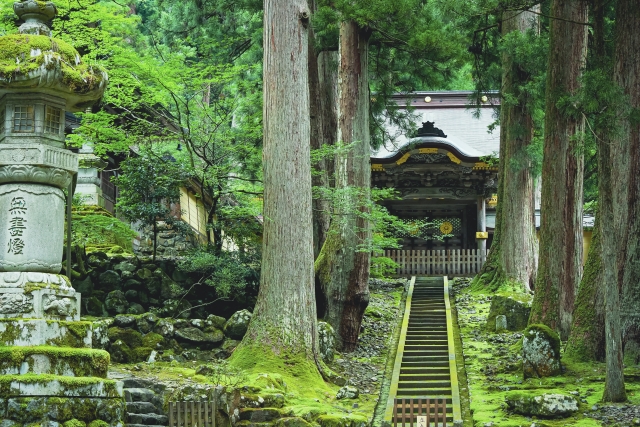 【永平寺周辺のおすすめ駐車場】混雑状況や観光スポット情報