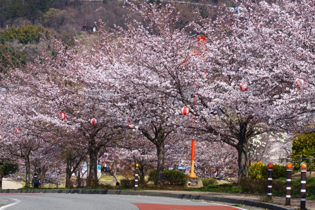 城山公園の画像