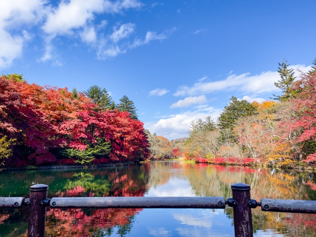 雲場池の画像