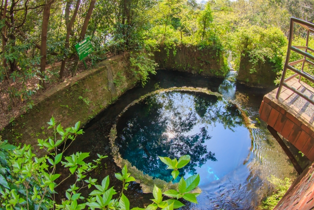柿田川公園の画像
