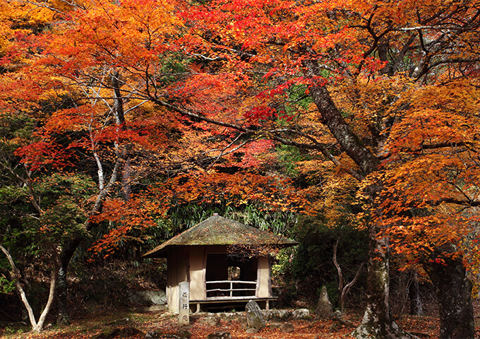 【吉野山周辺のおすすめ駐車場】混雑状況や公式情報と観光スポット