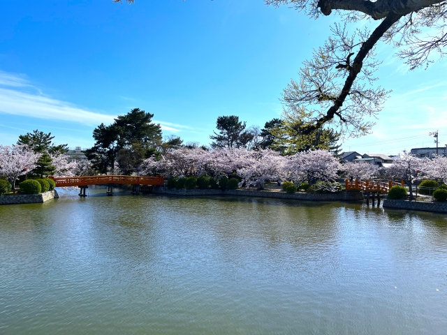九華公園の画像