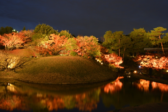 梅小路公園の画像