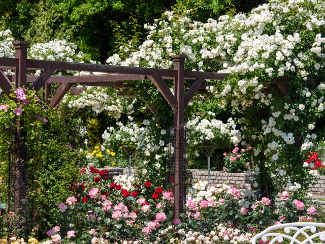 長居植物園の画像