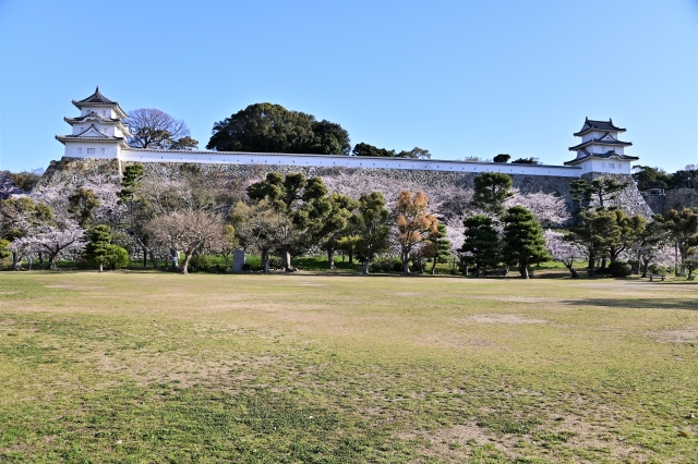 【明石公園周辺のおすすめ駐車場】混雑状況や公式情報と観光スポット