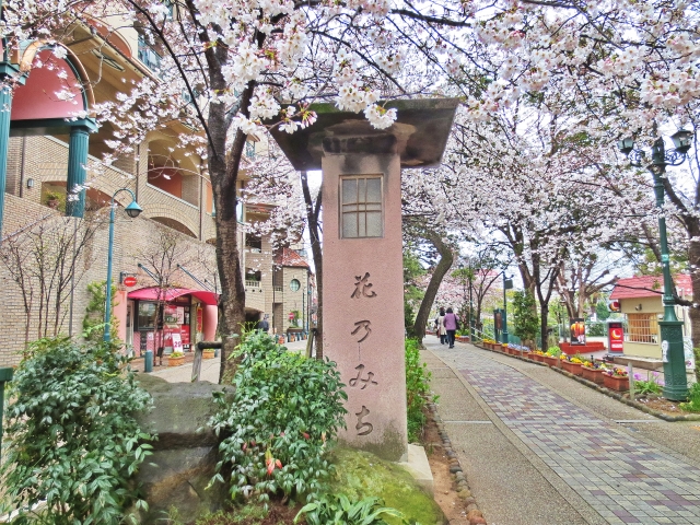 花のみちの画像