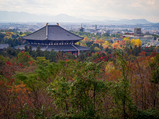 【東大寺周辺のおすすめ駐車場】混雑状況や観光スポット情報