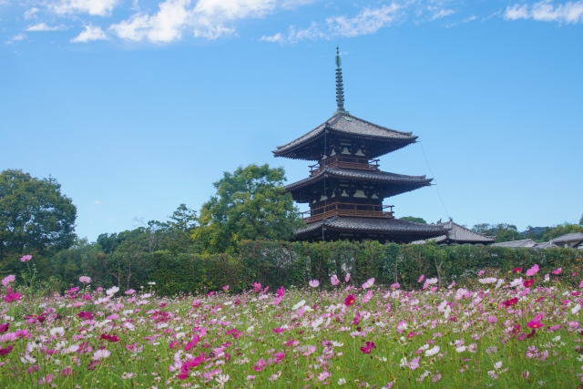 法起寺の画像