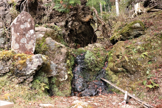 苔清水の画像