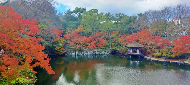 紅葉渓庭園の画像