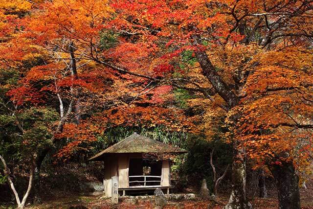 【吉野山周辺のおすすめ駐車場】混雑状況や公式情報と観光スポット