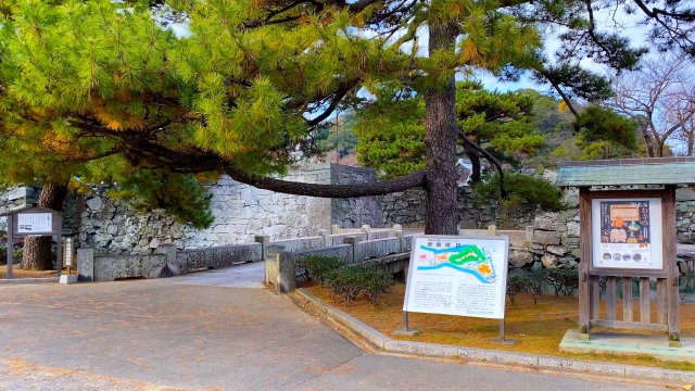 徳島中央公園の画像