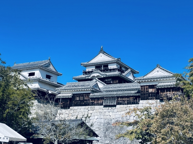 松山城の画像