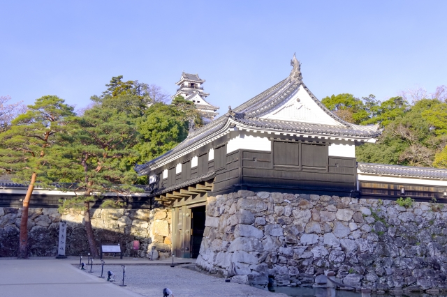 高知公園の画像
