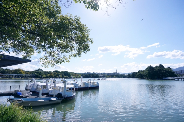 大濠公園の画像