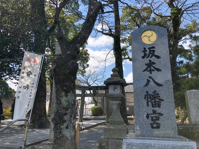 坂本八幡宮の画像