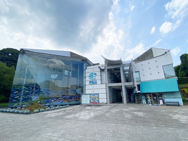 九十九島水族館 海きららの画像