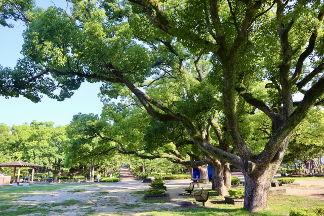 佐世保公園の画像