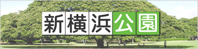 新横浜公園第３ 神奈川県横浜市港北区小机町3300 の時間貸駐車場 満車 空車 料金情報 タイムズ駐車場検索