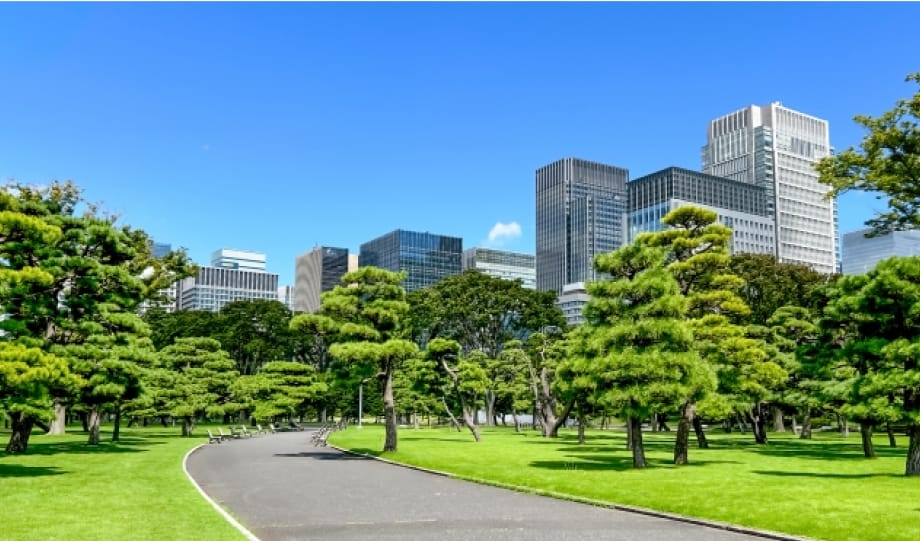 皇居外苑の画像