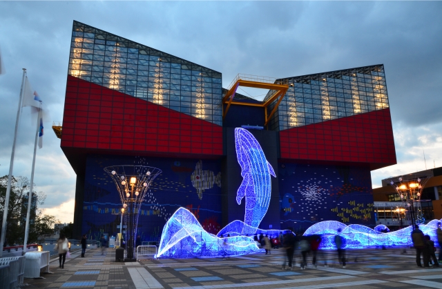 世界の海を再現した水族館 大阪 海遊館のアクセス方法とお出かけ情報 タイムズ駐車場検索