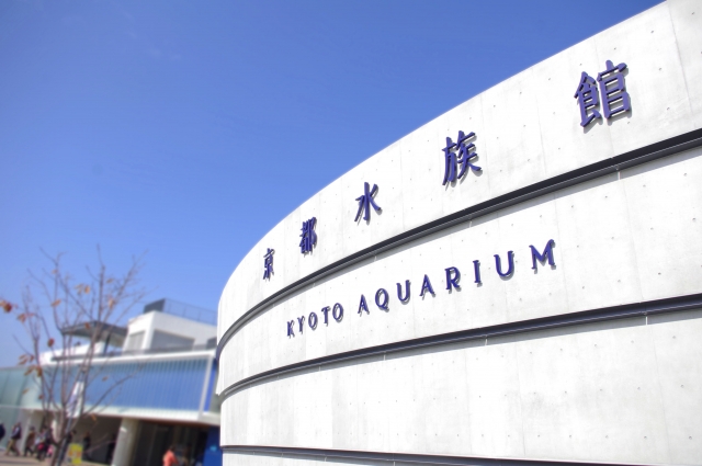特集 京都観光の新名所 京都水族館の魅力からアクセスまで徹底解説 タイムズ駐車場検索