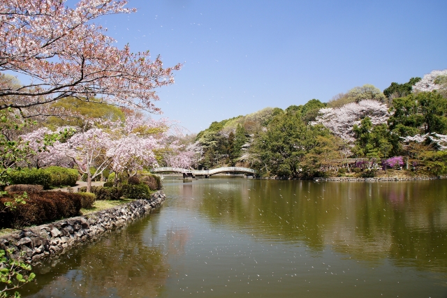 薬師池公園