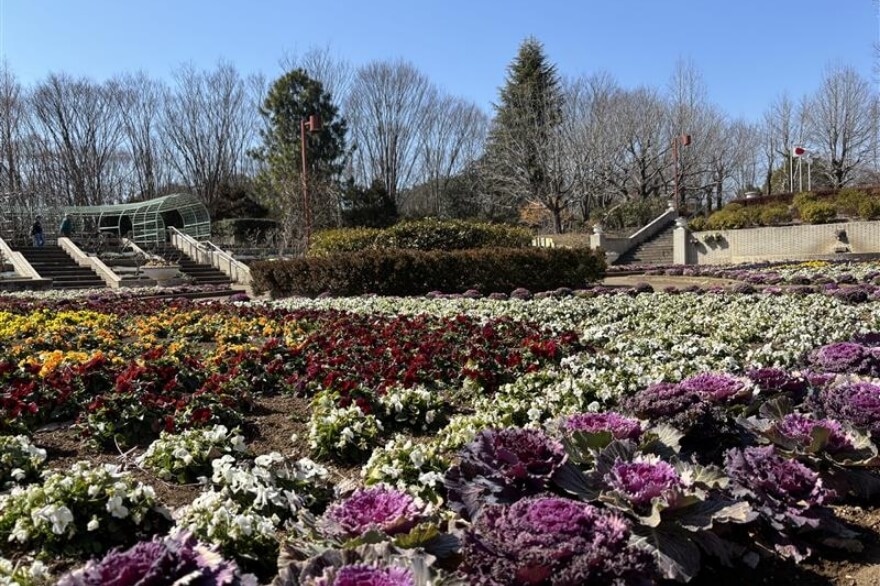 智光山公園の画像