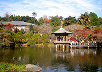 成田山公園