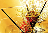 ホテル日航奈良